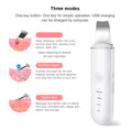 Charger l'image dans la visionneuse de la galerie, Ultrasonic Skin Scrubber Vibration Face Blackhead Remover
