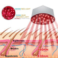 Cargar la imagen en la vista de la galería, Red Light Therapy Cap
